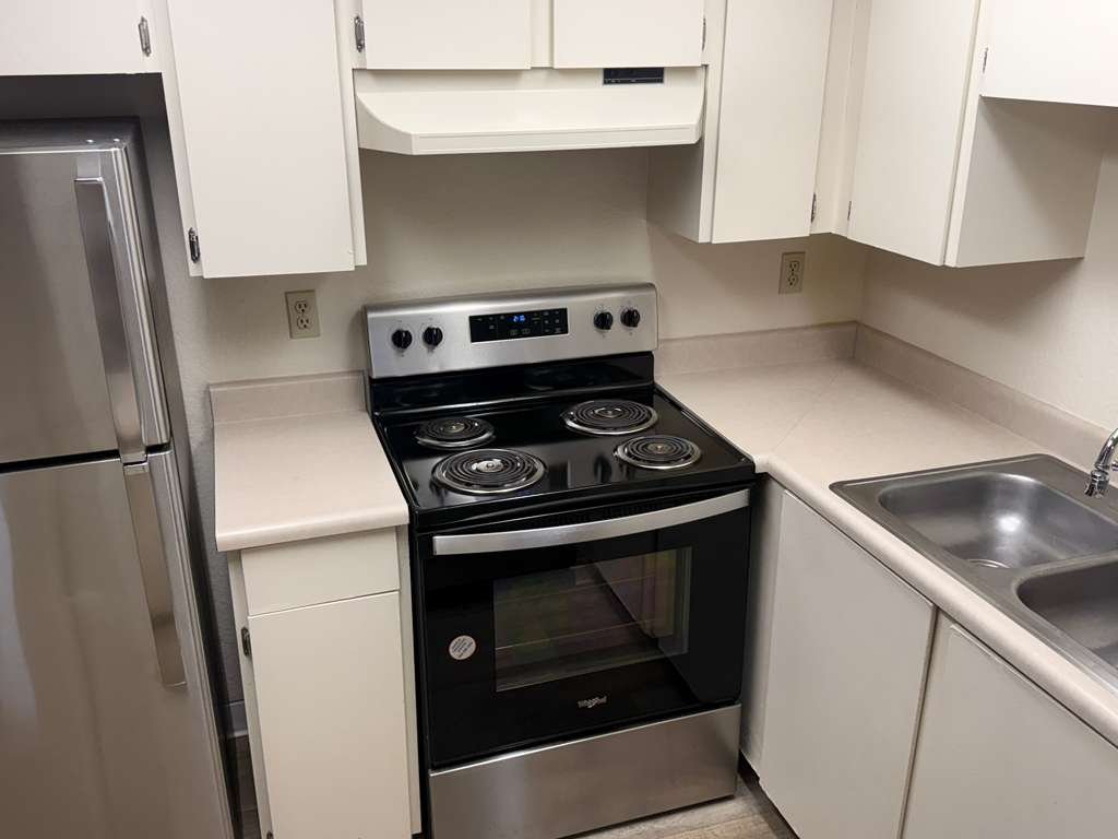 Cleaning professional detail dusting a surface